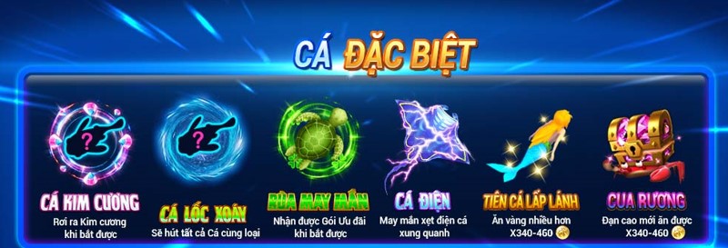 Các loại cá đặc biệt